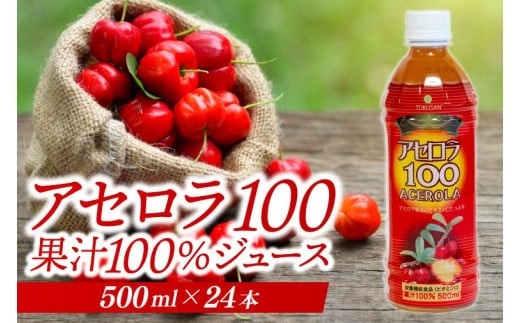アセロラ100 ストレート100%ジュース(500ml×24本)｜アセロラ フルーツ 果物 くだもの アセロラジュース ジュース フルーツジュース ストレート 果汁 沖縄県 おきなわ 豊見城市(AD004)