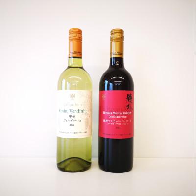 ふるさと納税 韮崎市 マルスの白&amp;赤ワイン 飲み比べセット　750ml×各1本【山梨県韮崎市】