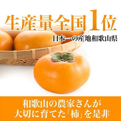 ふるさと納税 橋本市 【令和7年度　先行受付】柿カテゴリ上位獲得!　JA紀北かわかみのたねなし柿　7.5kg　L又は2L |  | 02