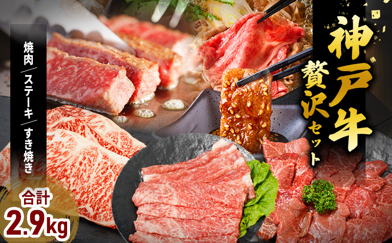 神戸牛 福袋 帝神 おまかせコース F サーロインステーキ 肩 スライス 牛カルビ ももステーキ もも肉 バラ肉 すじ肉 神戸牛 和牛 国産牛 国産牛肉 牛肉 牛 肉 お肉 ステーキ ステーキ肉 焼肉 食べ比べセット