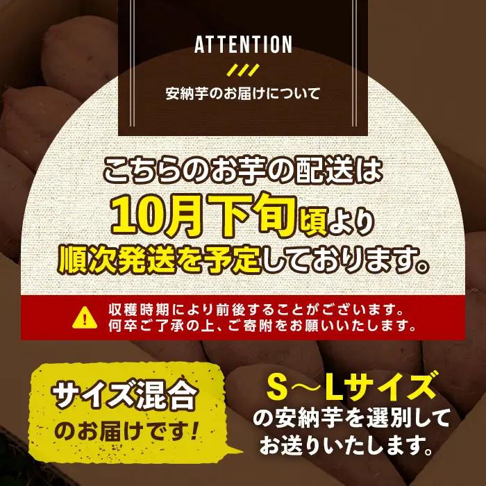 数量限定 安納芋 5kg 種子島 さつまいも 【あぐりの里】n078