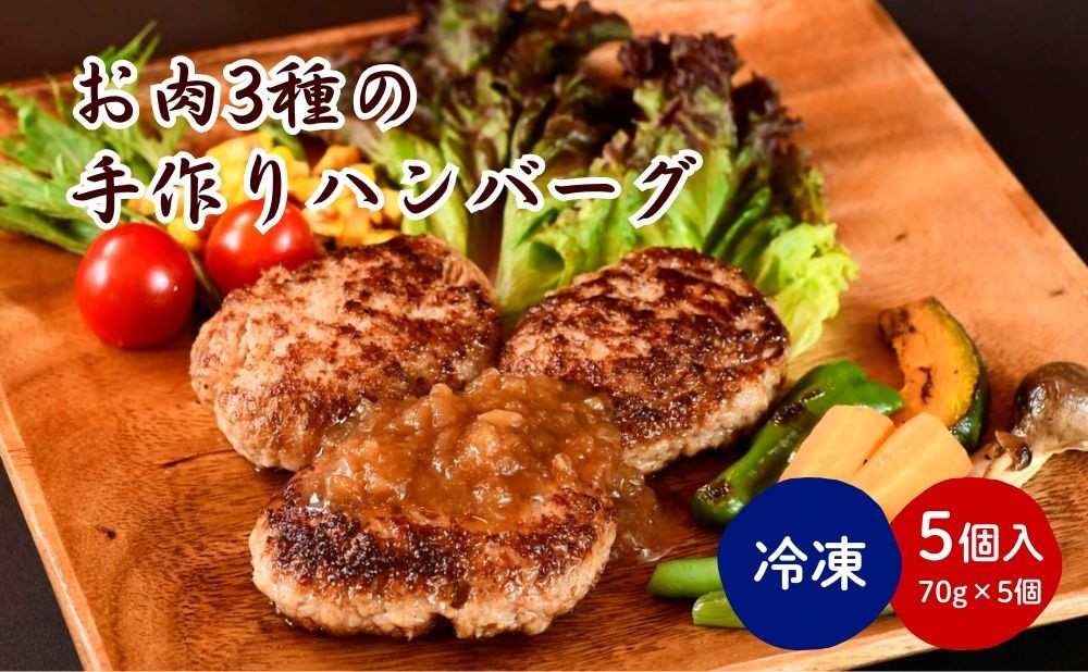 
            お肉三種の手作りハンバーグ　７０ｇ×５個　0114-2501
          
