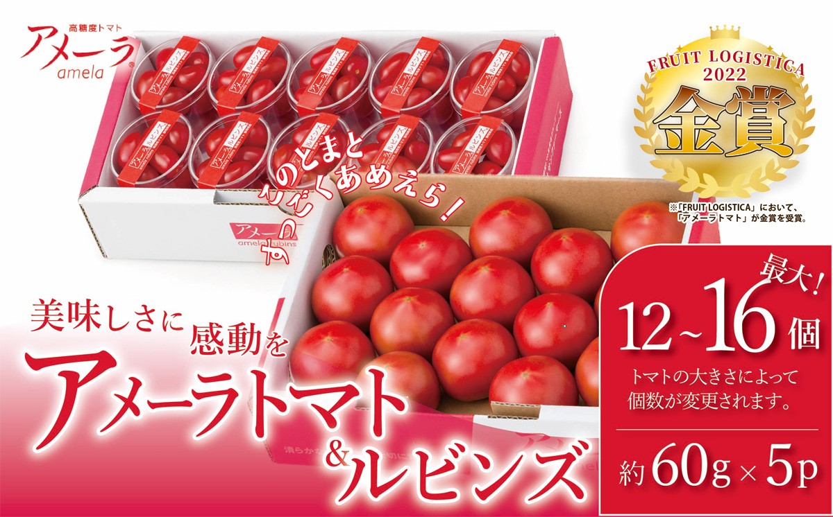 
                  アメーラトマト ＆ アメーラルビンズ 10P  │トマト とまと 野菜 高糖度ミニトマト アメーラ ミニトマト プチトマト フルーツトマト ミニトマト 静岡県 小山町   】
                