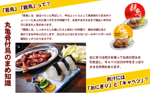 【定期便6回】骨付鳥 おやわか 若鳥 親鳥 各3本 食べ比べ 丸亀名物 骨付き鳥 骨付き鶏 国産 鶏肉 鶏もも 鶏モモ もも肉 モモ肉 若鶏 親鶏 焼鳥 焼き鳥 冷蔵 肉 鳥肉 とりにく スパイス ご