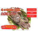 【ふるさと納税】【和星水産】タグ付き 生松葉ガニ 1枚（800g以上） 年明け配送 松葉ガニ カニ ズワイガニ カニ爪 冷蔵 かにしゃぶ カニ刺身 ずわいがに 鮮度抜群 国産 高級 タグ付き 鳥取県 倉吉市