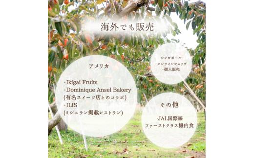 【先行予約】うま杉の富有柿 10kg 42玉(L) ※2026年11月中旬～12月中旬頃に順次発送予定