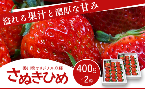 《高評価》 香川県オリジナル品種！ いちご【さぬきひめ】化粧箱 400g×2箱（ フルーツ 苺 さぬき姫 ギフト 取り寄せ 糖度 甘い 大粒 贈答 プレゼント 果物類 デザート ストロベリー ） 香川県東かがわ市