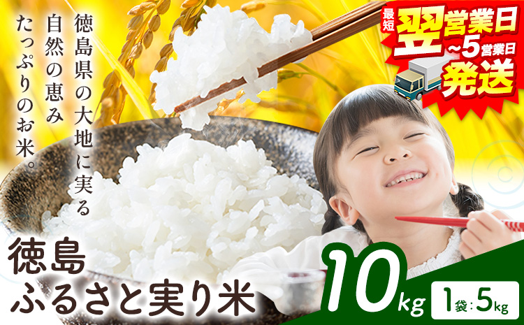 【最短翌営業日発送】もちもち美味しい！ 徳島ふるさと実り米 精米 10kg 徳島県 上板町 お米 米 白米 米 10kg