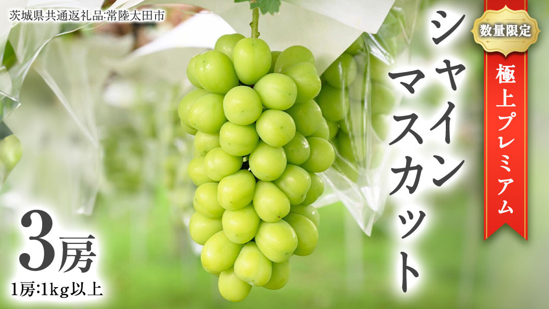 
                  極上 プレミアム シャインマスカット ３房 ( １房 1kg 以上) 数量限定 【茨城県共通返礼品／常陸太田市】 桧山果樹園 農家直送 桧山果樹園 農家直送 フルーツ  甘い 直送 茨城 限定 ギフト ぶどう シャインマスカット 旬 贈答 果物 [DU017sa]
                