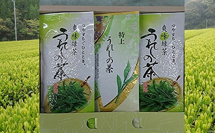 ｂ-１６２　うれしの茶（嬉野茶）特上・上撰セット【緑茶】