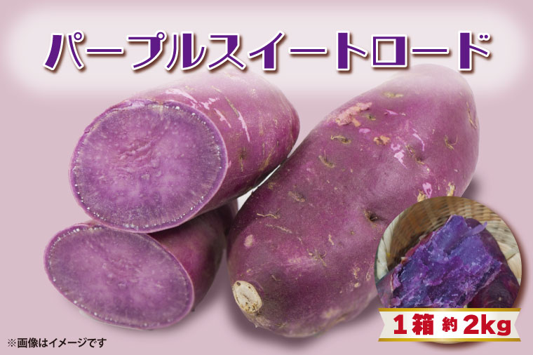【2025年11月より順次発送】2025年度産 パープルスイートロード 約2kg｜さつまいも 芋 お芋 パープルスイートロード 渋谷農園 先行予約 茨城県 行方市(BZ-54)