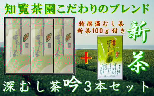 129-06-1 【知覧茶新茶祭り】【期間限定･増量】知覧茶園の深むし茶「吟」3本セット 特撰深むし茶100g付