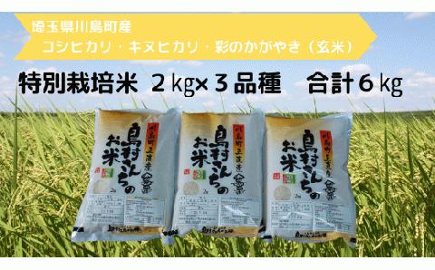 【特別栽培米(玄米)】島村さんちの特別栽培米　３種類食べ比べセット（コシヒカリ・キヌヒカリ・彩のかがやき　各２ｋｇ　合計６ｋｇ）　減農薬　減化学肥料　玄米　埼玉県認証