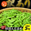 【ふるさと納税】《先行予約》令和7年産 訳あり 枝豆 3kg 農家直送 収穫 当日発送 えだまめ 朝獲れ クール便 発送 朝採り 野菜 夏野菜 おつまみ 晩酌 Bランク お取り寄せ グルメ 潟上市 秋田 おいしい つまみ 【エスジー・ファーム】