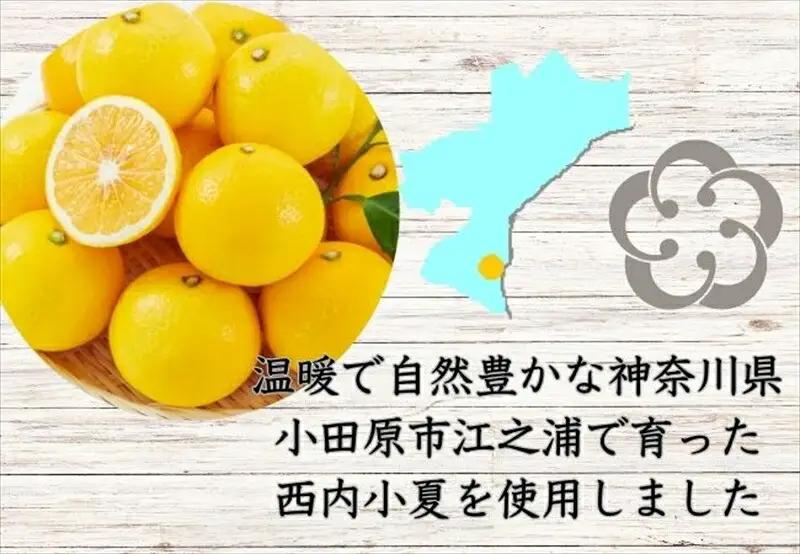 西湘菓子工房樫の樹　乳菓万頭小田原小夏16個入りギフト 【 お菓子 スイーツ 神奈川県 小田原市 お菓子】