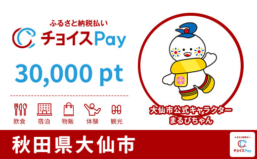 
            大仙市チョイスPay 30,000pt【会員限定のお礼の品】
          