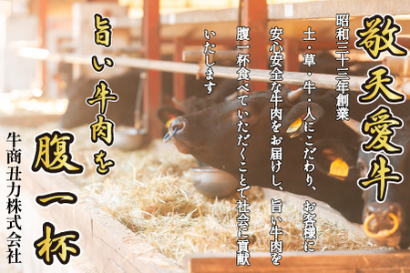 黒毛和牛ミックスホルモン 1.5㎏ ホルモン