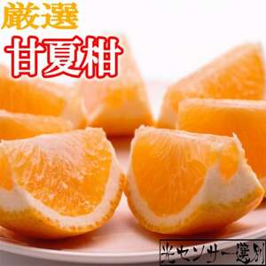 ＜4月より発送＞厳選 甘夏柑9kg+270g(傷み補償分)【初夏のみかん】【有田産】【光センサー】【配送不可地域：離島・北海道・沖縄県】【1347956】