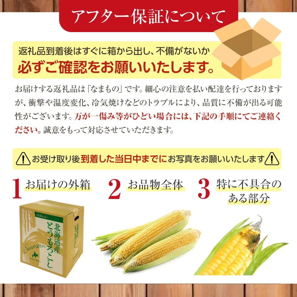 高評価★5.0【先行予約】あさひやま動物園しろくまコーン4kg(ホワイトレディ10本)2026年8月下旬から発送開始 | とうもろこし 北海道産とうもろこし _00308