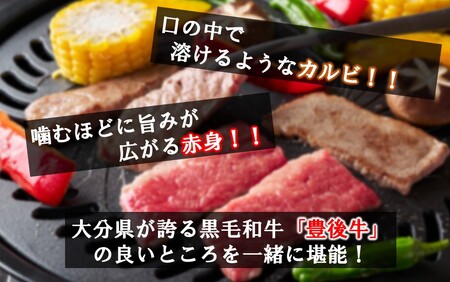 2393R_【黒毛和牛】 豊後牛／カルビ＆赤身 焼肉食べ比べセット（各150g×2P）