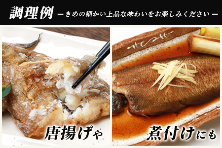 冷凍芝エビ（真エビ）1kg（500g×2パック）＆有明海産 シタビラメ約150g×2尾【有明海の恵】簡単調理 セット B-569