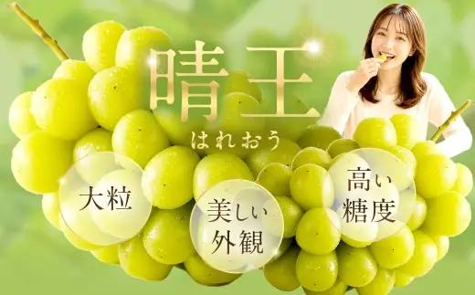 シャインマスカット 晴王 秀品 大房 2 ～ 5房 約2kg ぶどう ブドウ 葡萄 マスカット 果物 くだもの フルーツ 果実 種なし 皮ごと 国産 岡山県産 冷蔵 【 2026年9月上旬から11月下