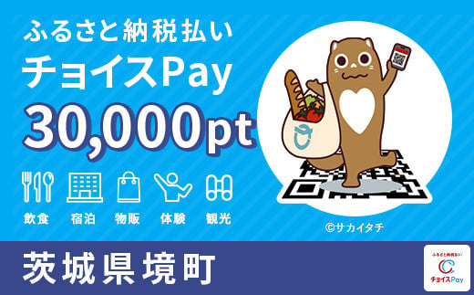 
境町チョイスPay 30,000pt（1pt＝1円）【会員限定のお礼の品】
