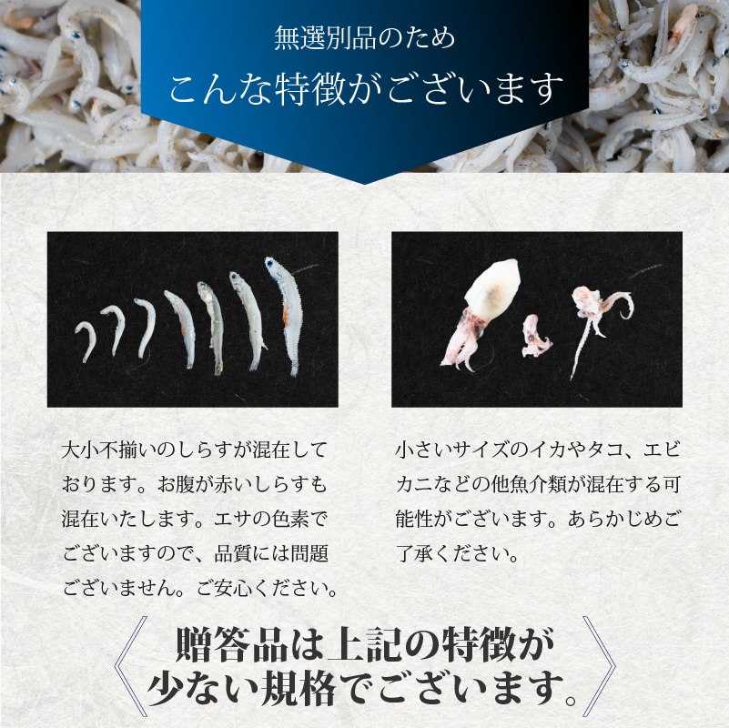 しらす 1.25kg 贈答用 釜揚げ |  冷凍 しらす しらす干し ごはんのお供 おつまみ 酒の肴 小分け 便利 簡単調理 おかず 惣菜 しらす丼 グルメ 食品 魚 魚介 海鮮 シラス 贈答 ギフト