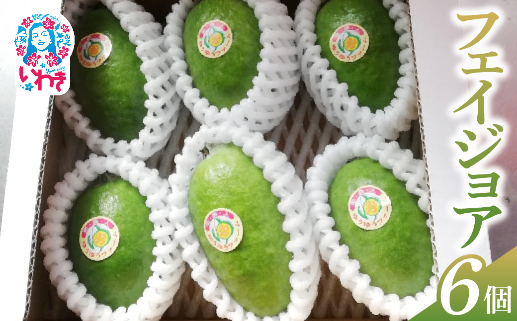 【先行予約】フェイジョア果実(大玉) 6個入り | フェイジョア 果実 大玉 6個入り ゆうゆうファーム 福島県 いわき市 国産 産地直送 希少フルーツ 南国果実 旬果 新鮮 お取り寄せ 高級フルーツ | YU005-6s