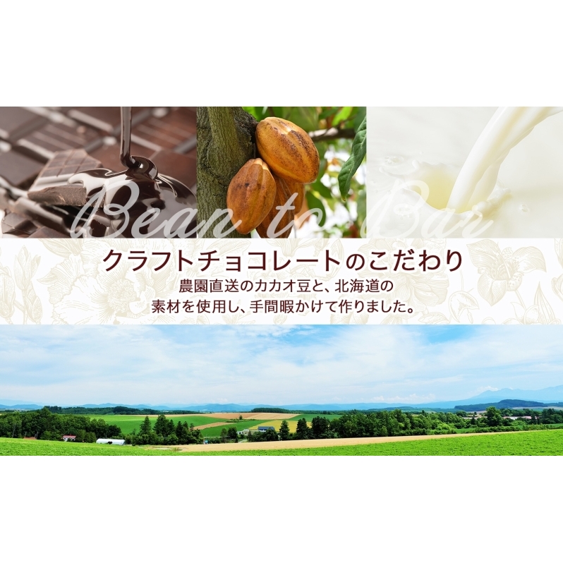 北海道 クラフト チョコレート 8種セット ダーク 梅酒  レーズン エスプレッソ ラズベリー ジンジャー チリ＆ソルト ミルク アーモンド チョコ スイーツ デザート 洋菓子 グルメ お取り寄せ ギ