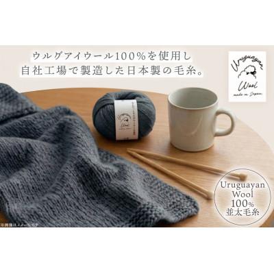 ふるさと納税 江南市 あみもねっと ウルグアイウール並太 17番色 10玉セット |  | 01