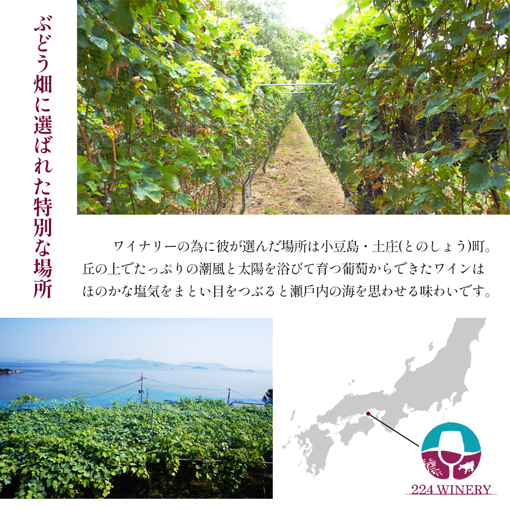 島醸造 シャルドネ 2024 750ml 小豆島醸造 白ワイン 日本ワイン 化粧箱入り お酒 酒 ワイン 熟成 贈り物 ギフト 国産 香川 香川県 土庄 土庄町