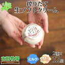 【ふるさと納税】 北海道 古田牧場 生 ソフトクリーム 2種 140ml×12個 ミルク 季節限定 牧場 アイスクリーム 牛 牛乳 搾り立て 生乳 スイーツ デザート おやつ 贈り物 ギフト プレゼント 贈答 お取り寄せ 詰め合わせ 詰合せ 送料無料 十勝 士幌町 19000円