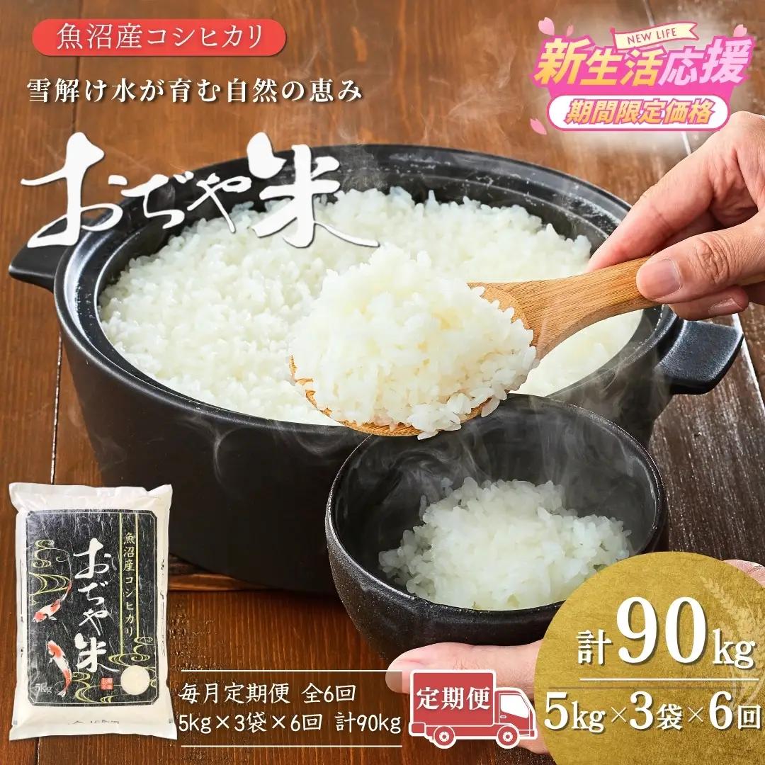 魚沼産コシヒカリ 令和7年 定期便 「おぢや米」 90kg（15キロ×6回）| 特A 新潟県 小千谷市 魚沼地域
