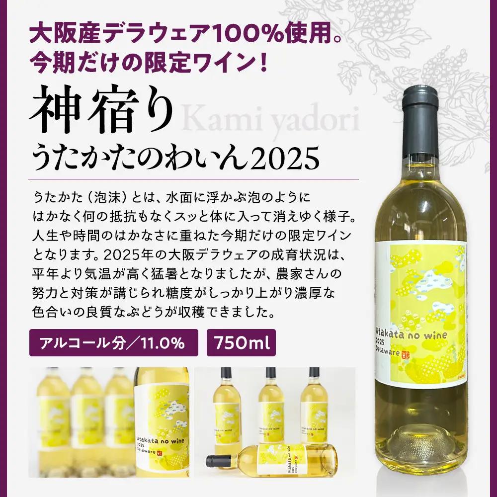 紀乃國わいん工房 うたかたのわいん 2025 750ml