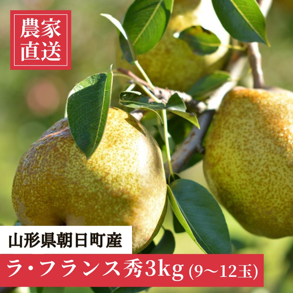 ラ・フランス 洋梨 3kg 9～12玉 秀品 農家直送 山形県 朝日町産 山形産 山形 特産 産地直送 果物 フルーツ ラフランス 秋【11月中旬発送】