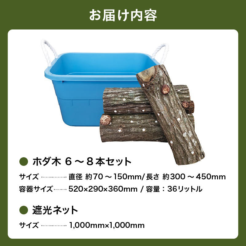 椎茸の原木栽培2夏経過品 ／ 家庭菜園 お手軽 栽培キット 自由研究 鑑賞 原木 きのこ【0051-001】_イメージ4