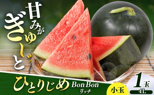 【先行受付】松本市 波田産 小玉すいか ひとりじめBonBonリッチ 4L(2.5kg～3.2kg)１玉｜先行予約 スイカ すいか 小玉スイカ 小玉 果物 くだもの 新鮮 果汁 ジューシー フルーツ ふるーつ 長野県 松本市