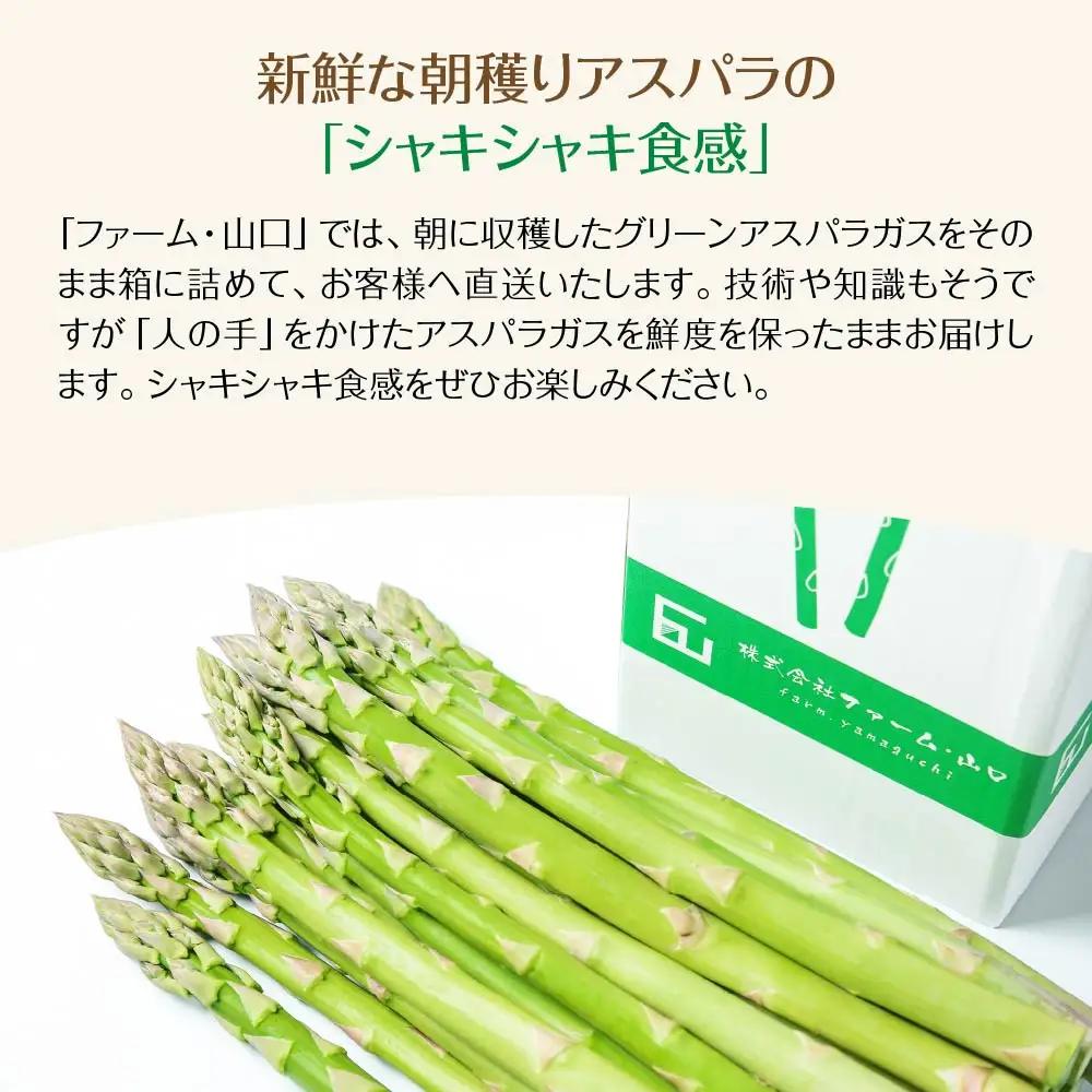 朝採れ新鮮！喜多方産　グリーンアスパラガス　1kg（L～2Lサイズ）　【07208-0629】