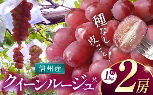 【先行受付】信州産 クイーンルージュ 2房（約1kg）｜ふるさと納税 松本市  ぶどう 葡萄 クイーンルージュ 果物 フルーツ 種無し 新鮮 信州産 先行予約