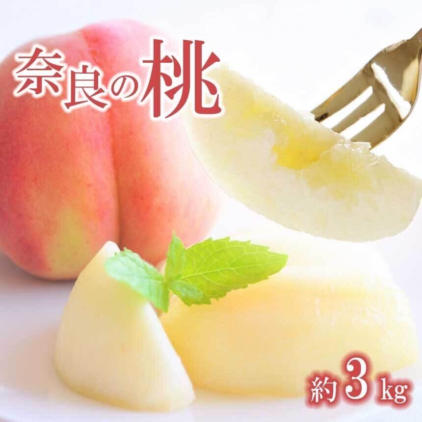 【ふるさと納税】 桃 奈良の 桃 （約 3kg ） ❘ フルーツ 果物 くだもの もも モモ 7月 8月 順次発送 自宅用 家庭用 特産品 たっぷり 先行予約 大人気 人気 先行 予約 11月 12月 発送 夏 旬 甘い 農家直送 産地直送 お取り寄せ 送料無料 デザート 福西農園 奈良県 五條市