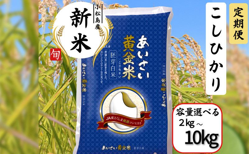 
【選べる定期便】 令和6年産 新米 定期便 あいさい黄金米 2kg～10Kg 胚芽白米 徳島県 コシヒカリ お米 こめ おこめ こしひかり 白米 精米 国産 ごはん 12kg 18kg 30kg 40kg
