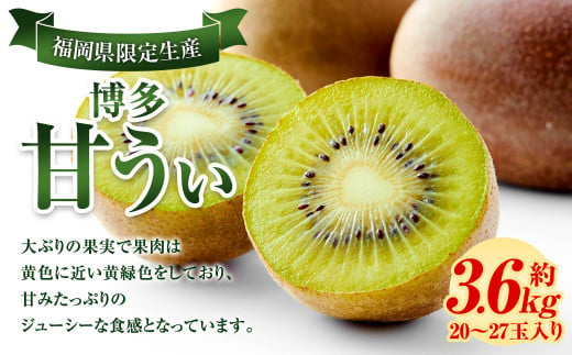 福岡県産 博多甘うぃ 約3.6kg (20玉～27玉入り) 【2024年11月上旬～12月上旬発送】※北海道・沖縄・離島配送不可