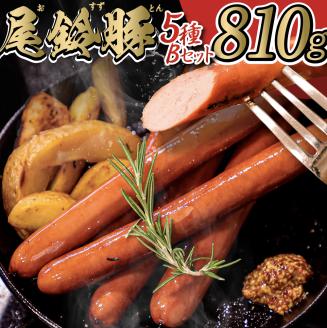 【PREMIUM PORK】尾鈴豚ハム・ソーセージ 詰め合わせ ５種 Bセット【 数量限定 肉 豚肉 ぶた 豚 国産 九州産 宮崎県産 ウインナ― 生ハム ソーセージ 加工品 】