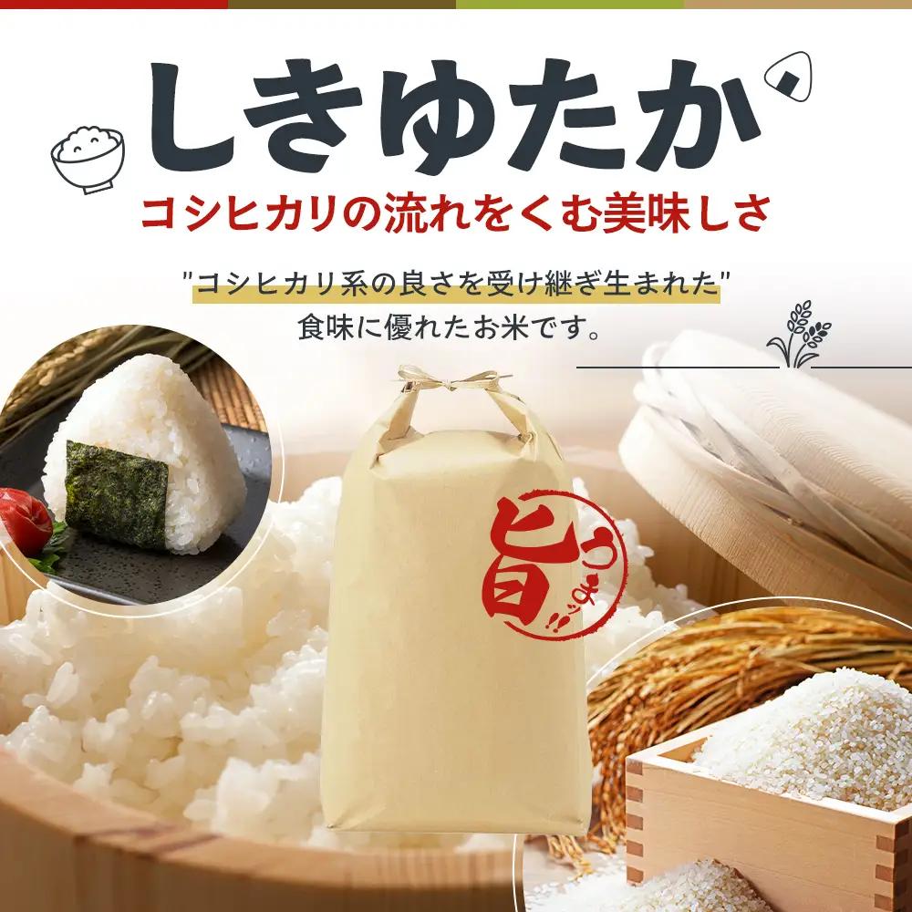 米 令和8年産 先行受付 しきゆたか 白米 5kg《2026年11月発送》 お米 精米 単一原料米 お弁当 おにぎり 冷めても美味しい 農業支援 就労者支援 日用品