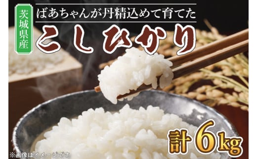 【令和5年産】ほっぺが落ちそう！ばあちゃんが丹精込めて育てた茨城県産こしひかり 【お米 コシヒカリ 3kg×2 ごはん 農家 直送 おいしい 白米 10000円以内 水戸市 】（BJ-2）