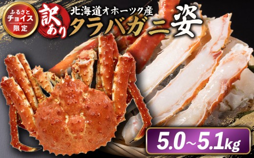 
                  《チョイス限定》北海道オホーツク産 訳アリ 冷タラバガニ姿　5.0～5.1kg | オンライン申請 ふるさと納税 北海道 雄武 北海道産タラバガニ タラバ カニ かに 蟹 冷凍 海産 海産物 ギフト 贈り物 お取り寄せ ワンストップ マイページ 雄武町【1242401】
                
