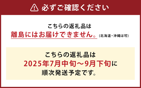 岩手にのへきゅうり【厳選品・Ａ品】2kg 【2025年7月中旬から2025年9月下旬発送予定】／きゅうり キュウリ 胡瓜 野菜 A品 新鮮 採れたて 直送 夏野菜 お取り寄せ 贈答用 ギフト 旬 産直