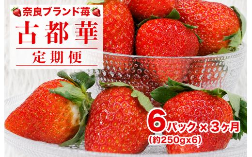 【2027年発送先行予約】【定期便 全３回】苺 古都華(ことか) 約250gx6パック ３ヶ月連続 奈良 ブランドいちご かたおかの苺 いちご 苺 奈良ブランド苺 イチゴ ブランド 古都華 大粒 苺 旬 産地 直送 フレッシュ イチゴ フルーツ 果物 国産 ベリー 贈答用 プレゼント 人気苺 ふるさと納税苺 ふるさと苺 furusato苺 おすすめ苺