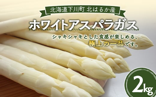 令和6年度産 ホワイトアスパラガス（2Lサイズ）2kg F4G-0004